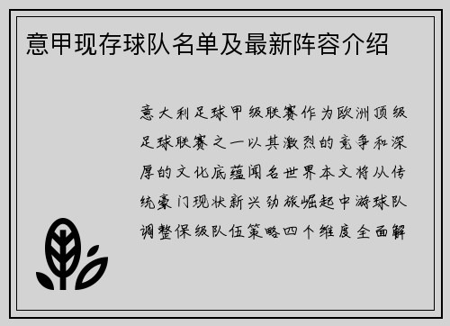 意甲现存球队名单及最新阵容介绍