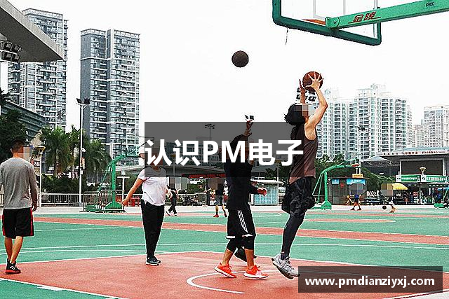 认识PM电子